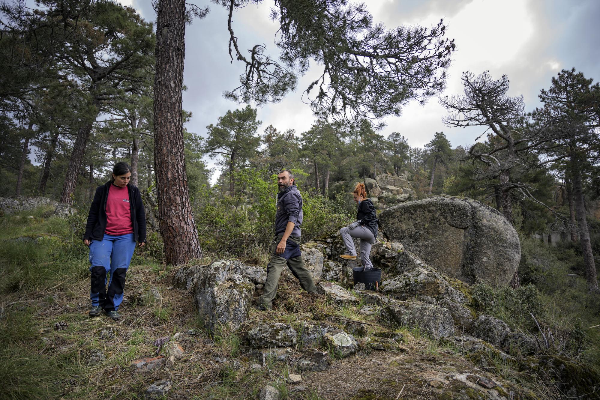 Proyecto arqueológico del Valle de los Caídos. Los campos de trabajo. - 16